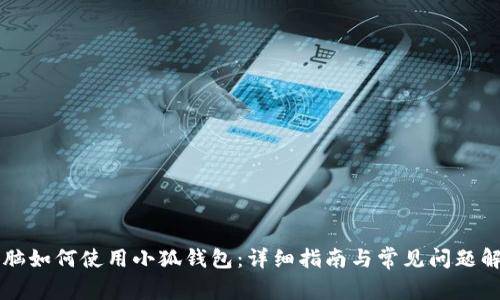 电脑如何使用小狐钱包：详细指南与常见问题解答