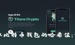 如何提取比特币钱包的哈希值：详尽指南