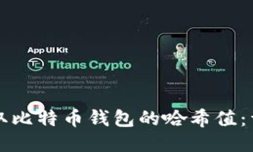 如何提取比特币钱包的哈希值：详尽指南