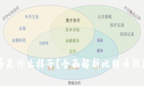 钱包里的比特币是什么样子？全面解析比特币钱包的形态与功能