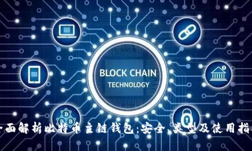 全面解析比特币主链钱包：安全、类型及使用指南