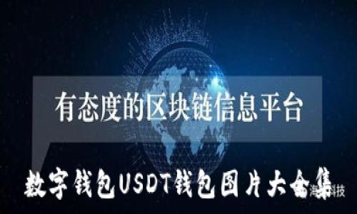   
数字钱包USDT钱包图片大全集